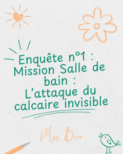 Couverture article de blog enquête ménage salle de bain miroir éclaboussé, style manuscrit, soleil, fleur et oiseau