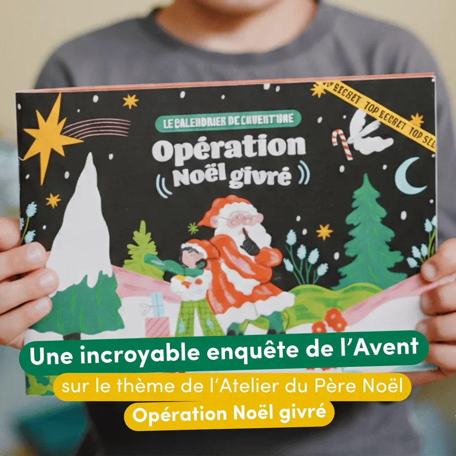 Livre Opération Noël givré