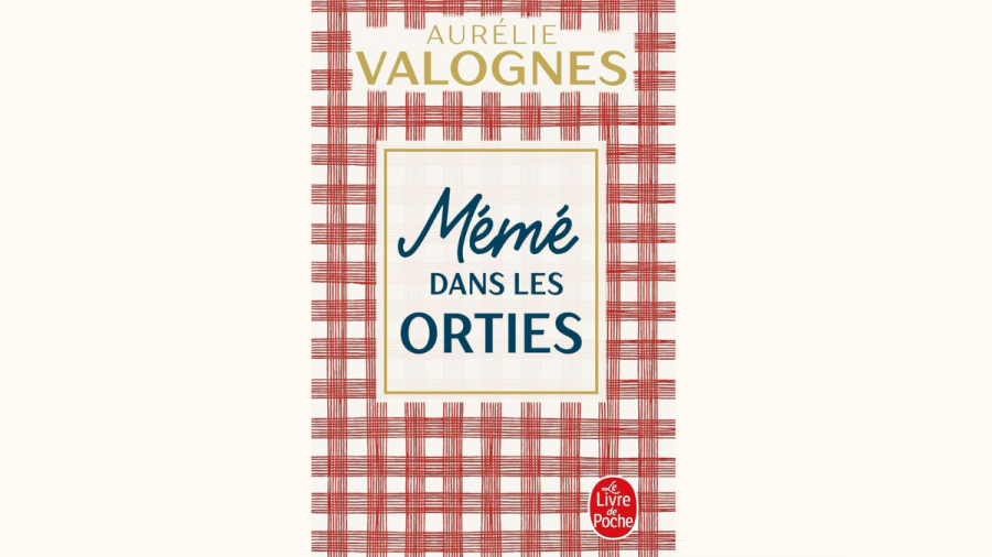 Cover Mémé dans les orties de Aurélie Valognes